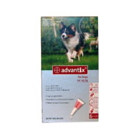 Advantix Large Dog 10-25kg 6 pack