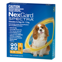 Nexgard Spectra chewables for Dogs 3.6-7.5kg 6 pack