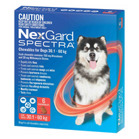NexGard Spectra for dogs 30.1-60kg 6pack