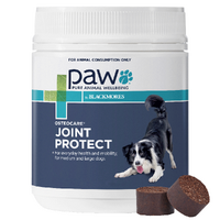 PAW Osteocare Joint Health Chews 500gm