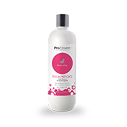 Shampoo